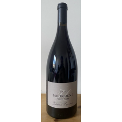 Bourgogne Pinot Noir - 2022...